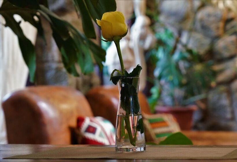 پانسیون Tryst Boutique