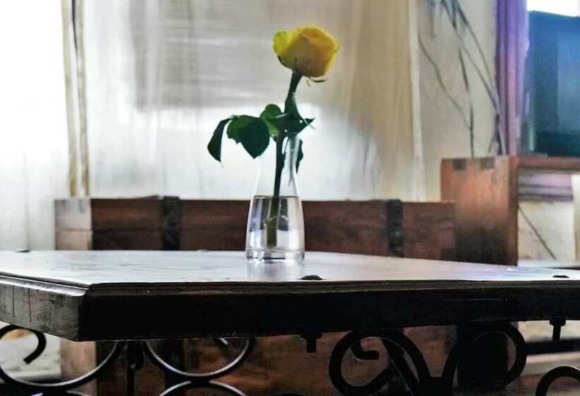 پانسیون Tryst Boutique