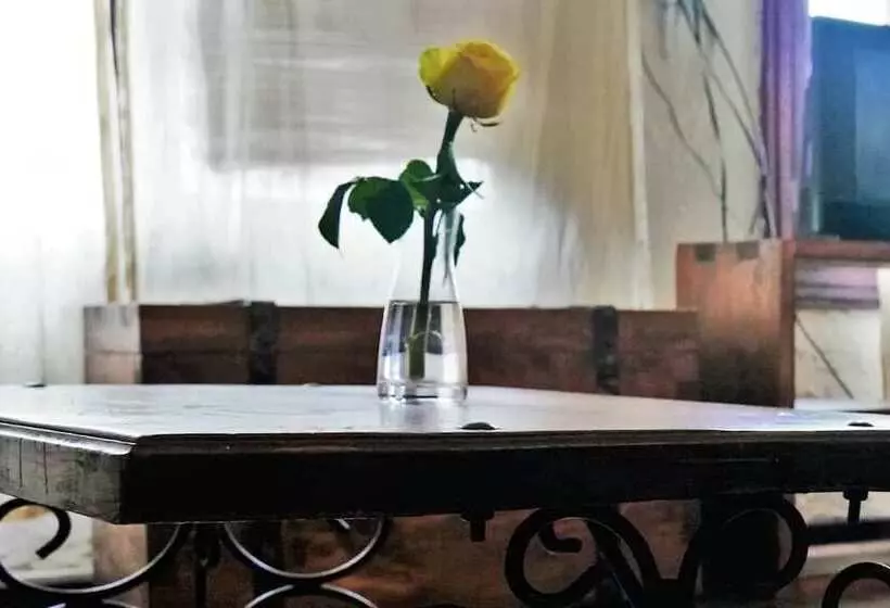 ペンション Tryst Boutique