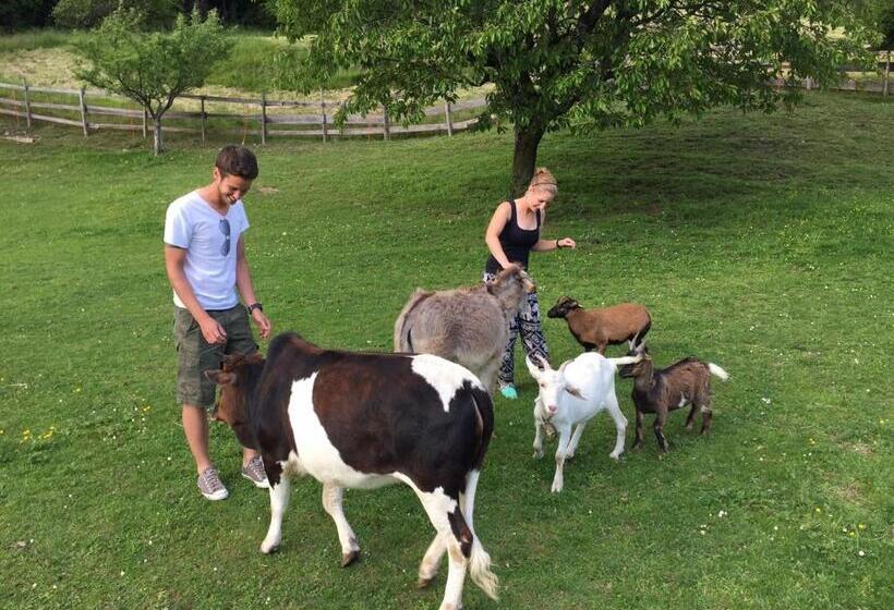 فندق Alpen Adria Gasthof Rausch