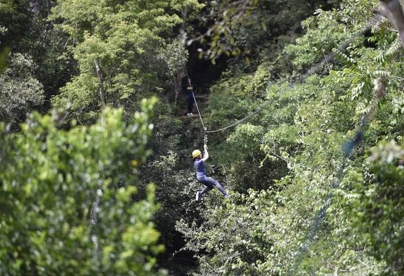 בית מלון כפרי Ella Jungle Resort