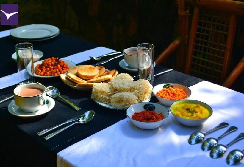 בית מלון כפרי Ella Jungle Resort