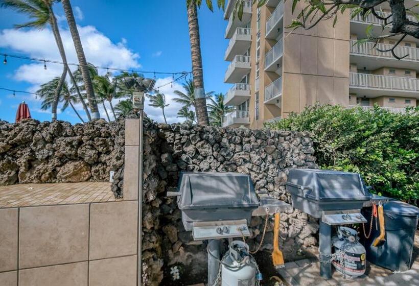 בית מלון כפרי Kihei Kai 12