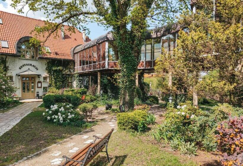 Отель Pałac Czarny Las