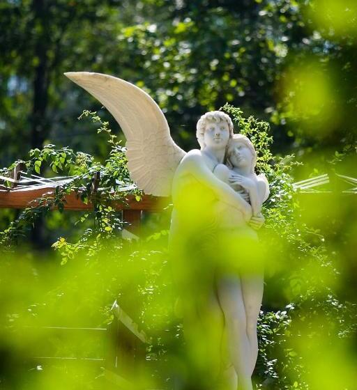 Отель Pałac Czarny Las