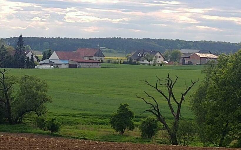 Отель Pałac Lucja Bb