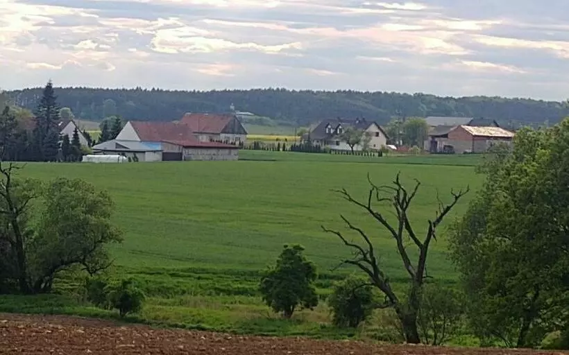 ホテル Pałac Lucja Bb