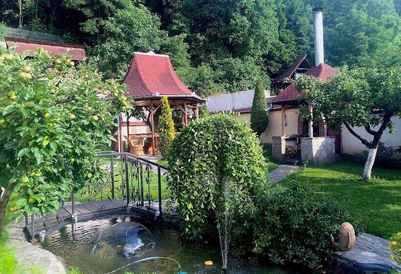 酒店 Pensiunea Cristina & Spa