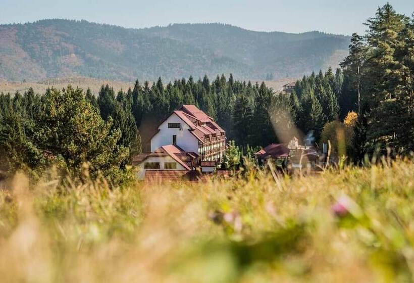 ホテル Q Resort And Spa