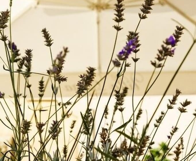 Villa Estera   Hotel & Restauracja