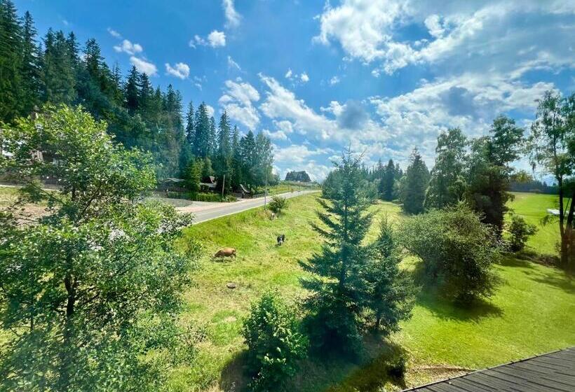 فندق Willa Marysin Bukowina Tatrzańska