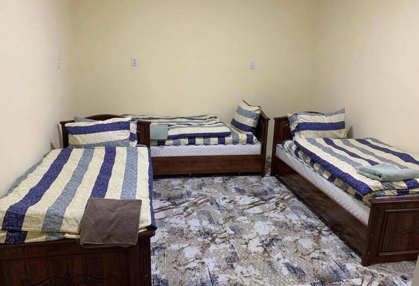 Adora Hostel Paid Airport Pick Up And Drop Off Guide Services!