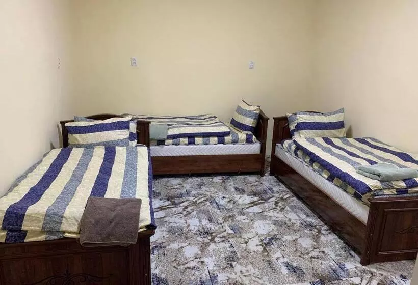 Adora Hostel Paid Airport Pick Up And Drop Off Guide Services!