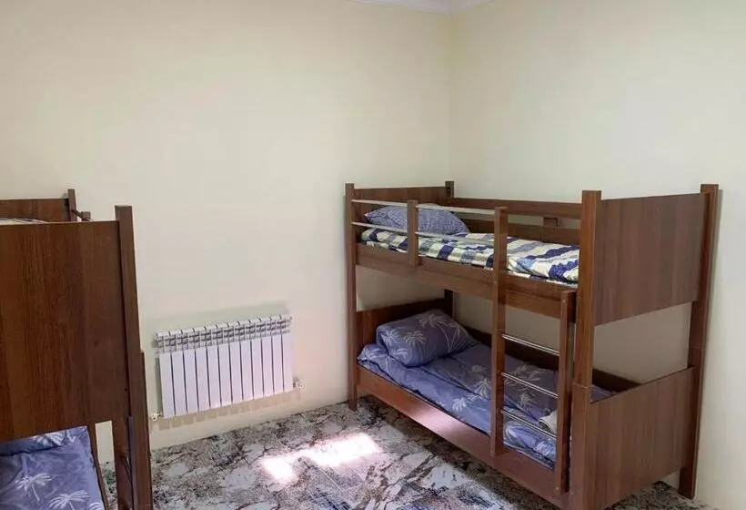 Adora Hostel Paid Airport Pick Up And Drop Off Guide Services!