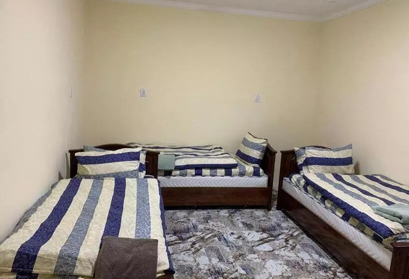 Adora Hostel Paid Airport Pick Up And Drop Off Guide Services!
