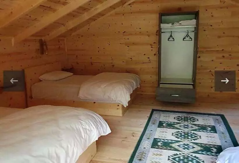 Hotelli Hostel Viking