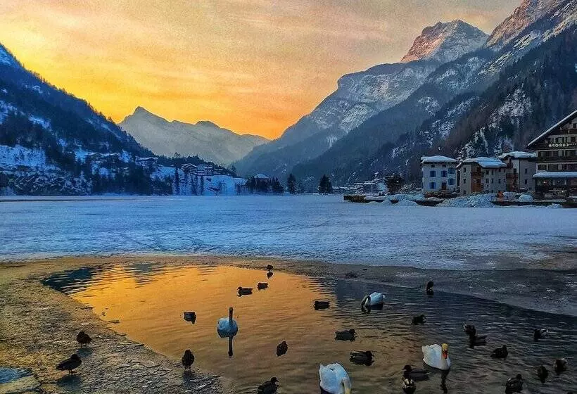 ホテル Naturae Lodge