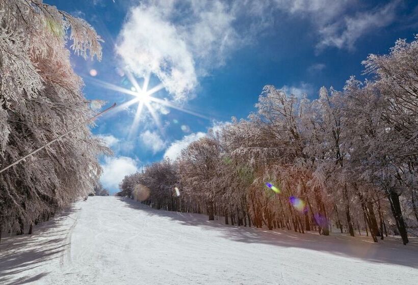 Отель Parco Dei Faggi   Monte Amiata
