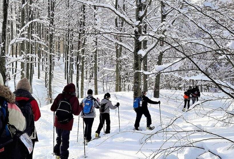 Отель Parco Dei Faggi   Monte Amiata