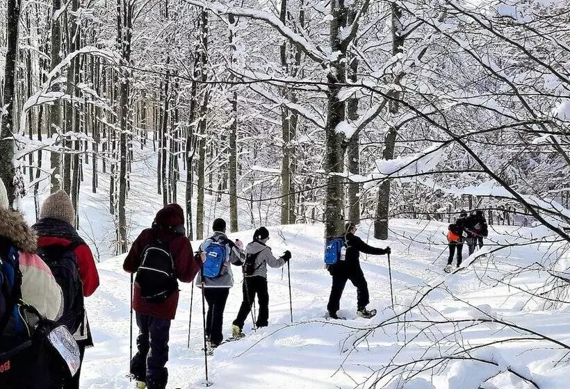 ホテル Parco Dei Faggi   Monte Amiata