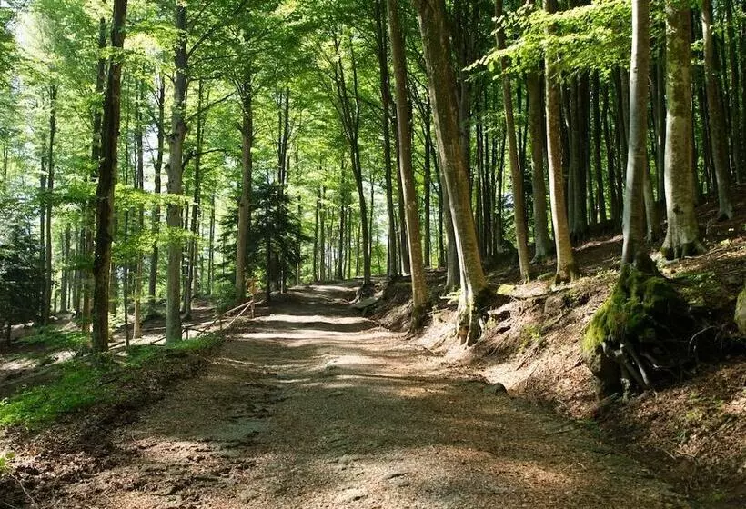 ホテル Parco Dei Faggi   Monte Amiata