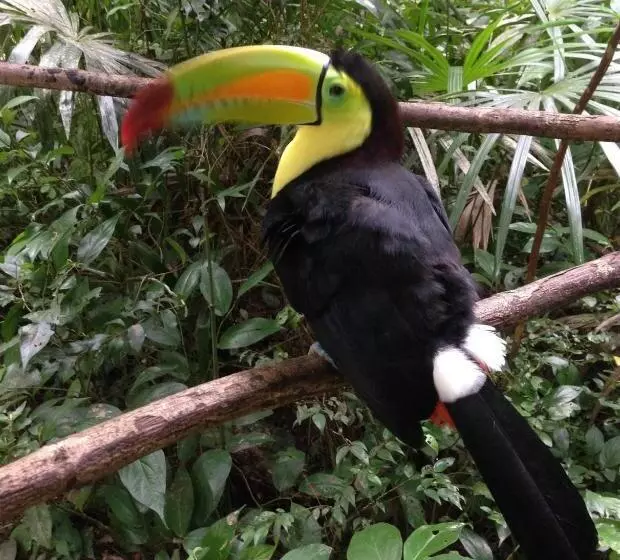 هتل Reserva Natural Cañón Seacacar