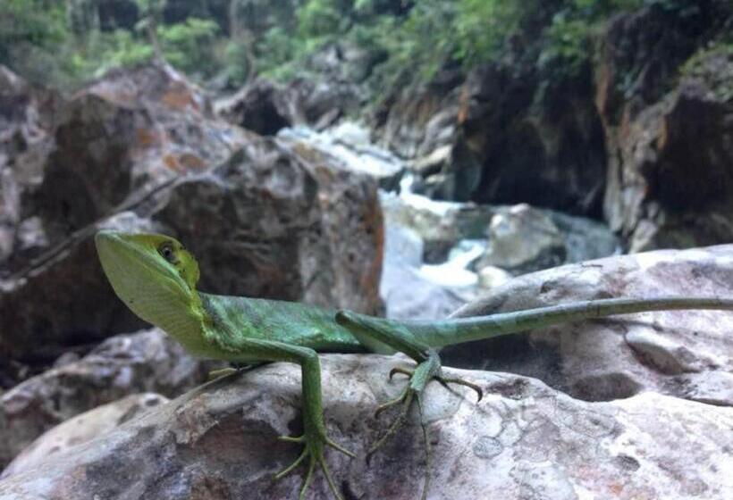هتل Reserva Natural Cañón Seacacar