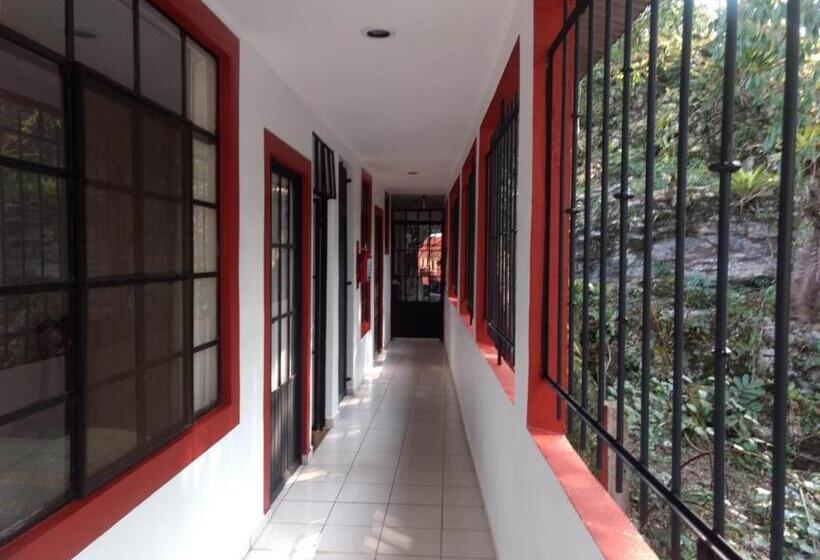 پانسیون Casa La Conchita