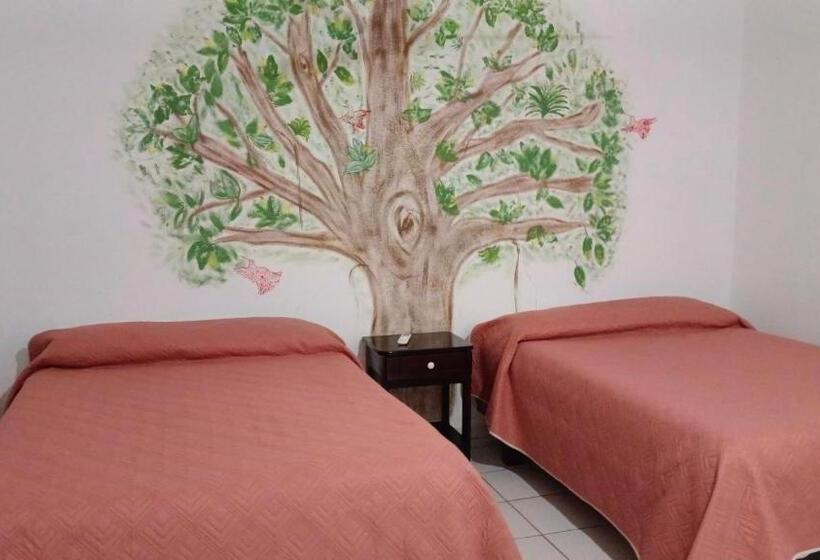 پانسیون Casa La Conchita