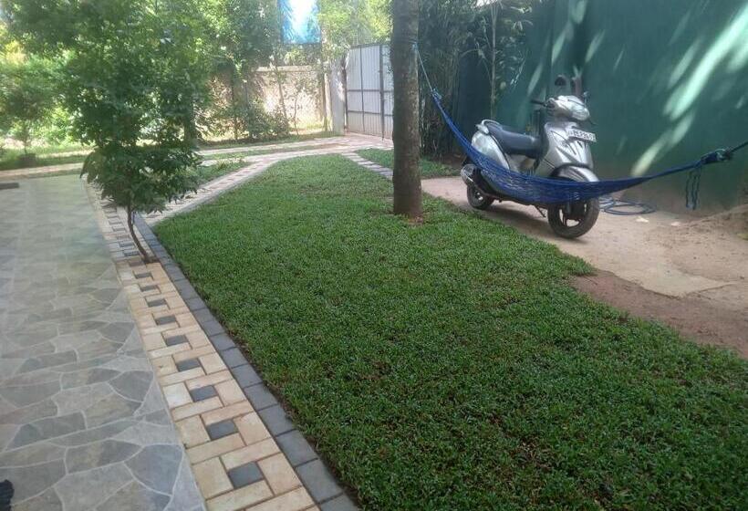 بنسيون Dream Next