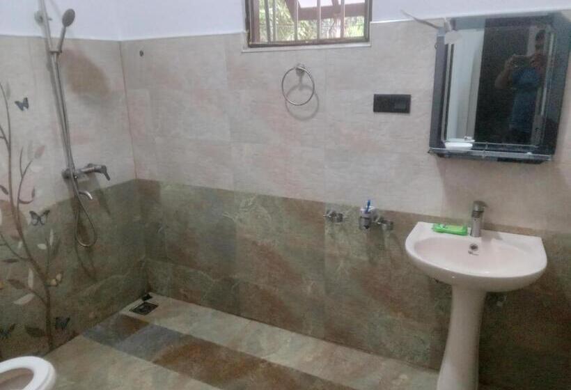 بنسيون Dream Next