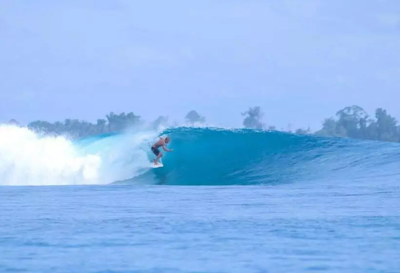 ペンション Toro Simalatcat Surfcamp