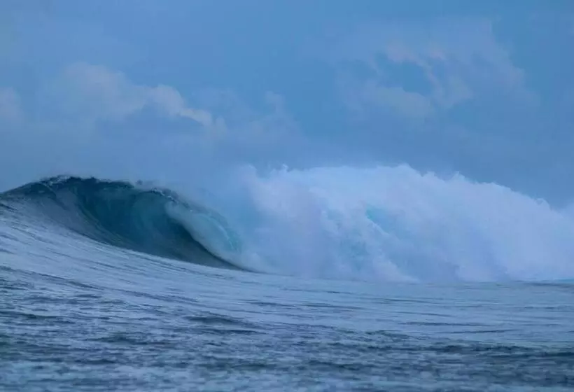 ペンション Toro Simalatcat Surfcamp