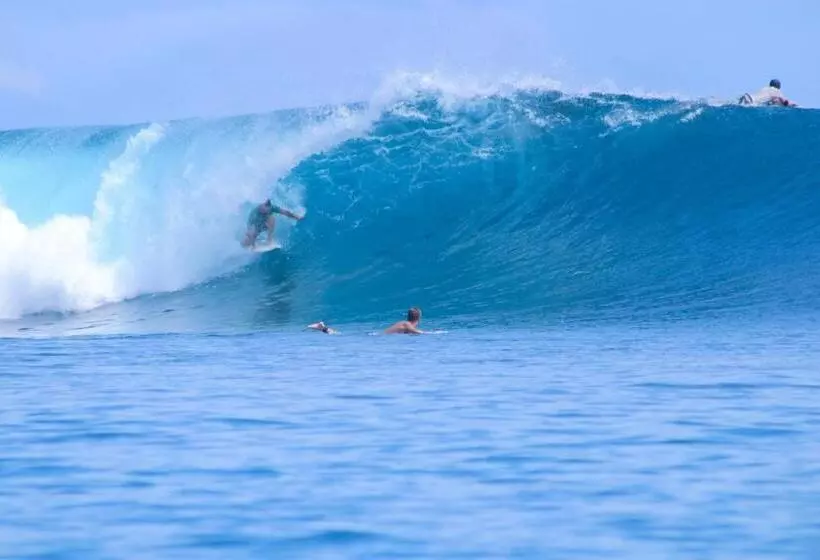 ペンション Toro Simalatcat Surfcamp