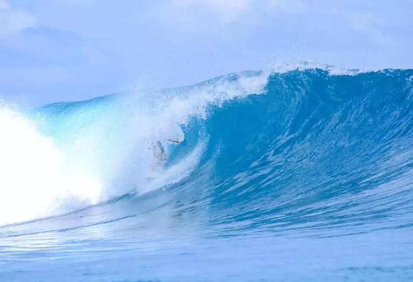 ペンション Toro Simalatcat Surfcamp