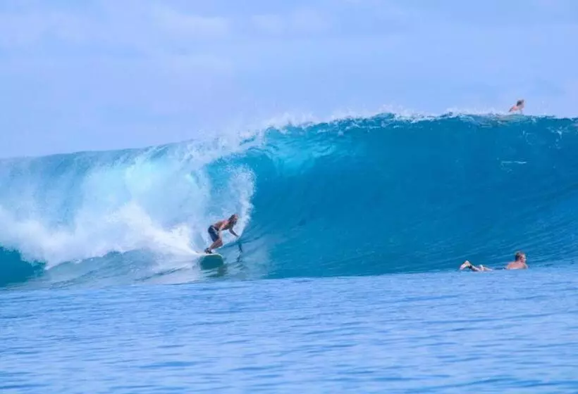 ペンション Toro Simalatcat Surfcamp