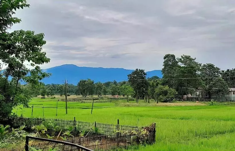 Resort Jole Jangale