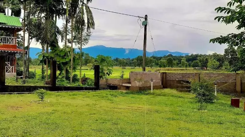 Resort Jole Jangale