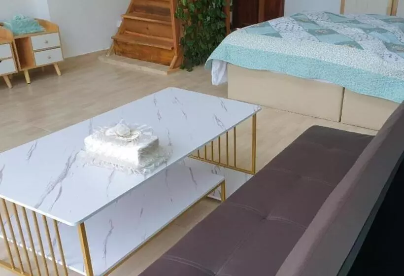 Lomakeskus The Pubpa Backyard