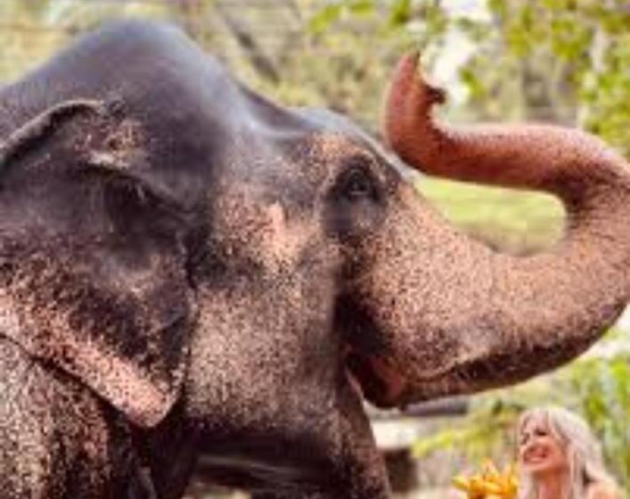 Hospedaria Chanaka House