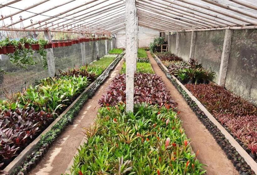 住宿加早餐  Aaravi Garden Homestay