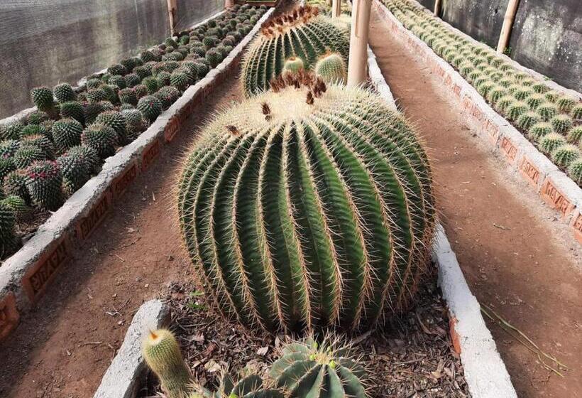 住宿加早餐  Aaravi Garden Homestay