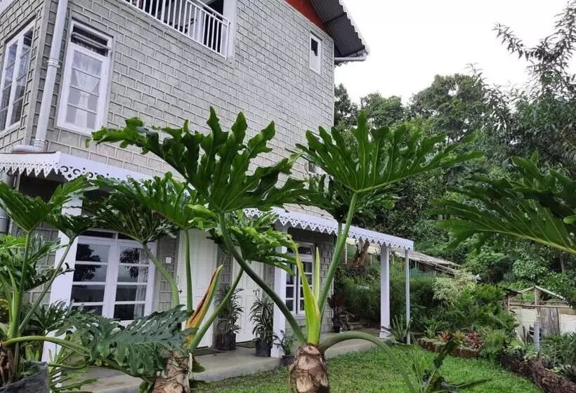 ベッドアンドブレックファースト Aaravi Garden Homestay