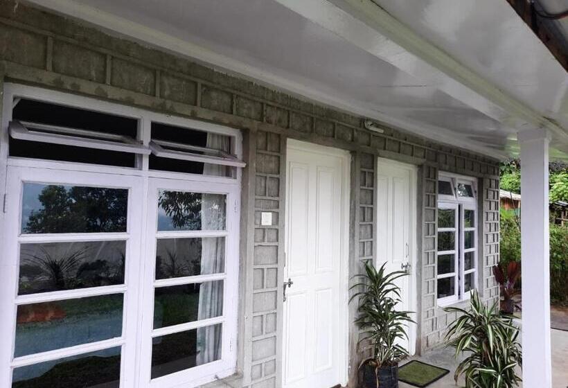 住宿加早餐  Aaravi Garden Homestay