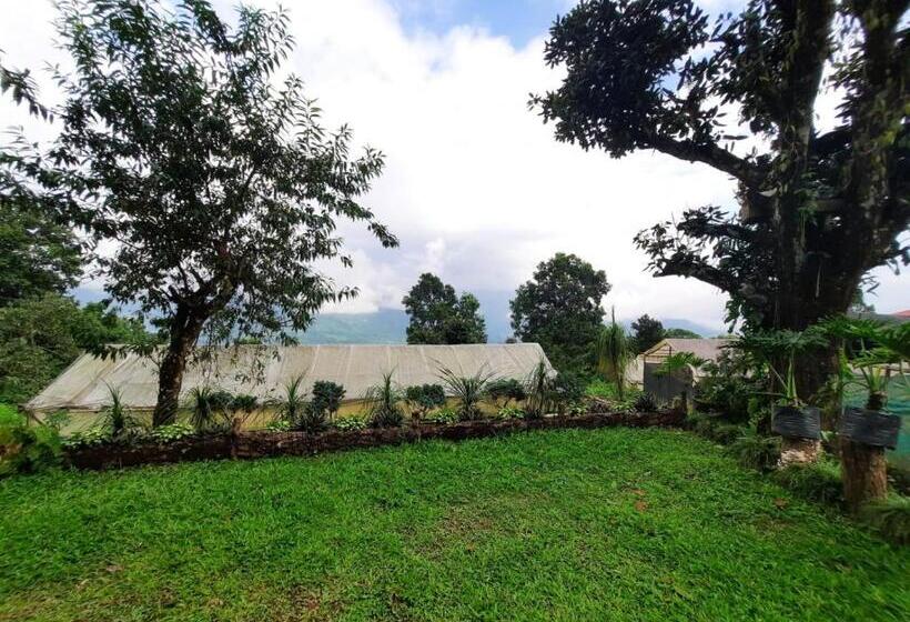 住宿加早餐  Aaravi Garden Homestay