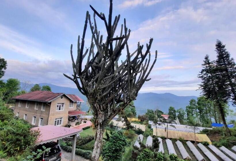 住宿加早餐  Aaravi Garden Homestay