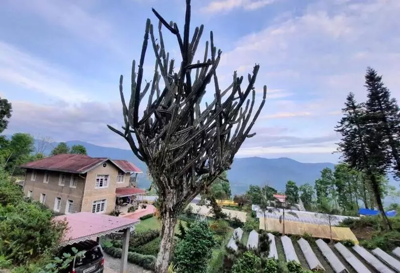 ベッドアンドブレックファースト Aaravi Garden Homestay
