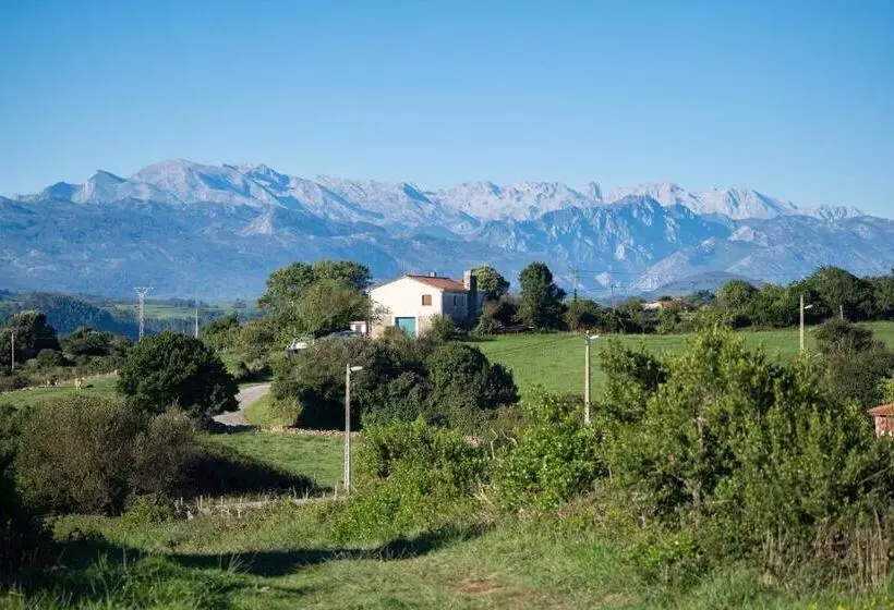 Aamiaismajoitus (B&B) Surf House Sanvi