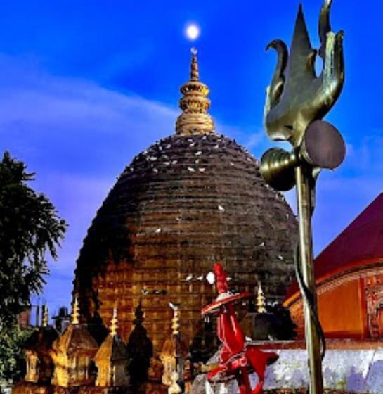 فندق Bhargav Residency , Guwahati