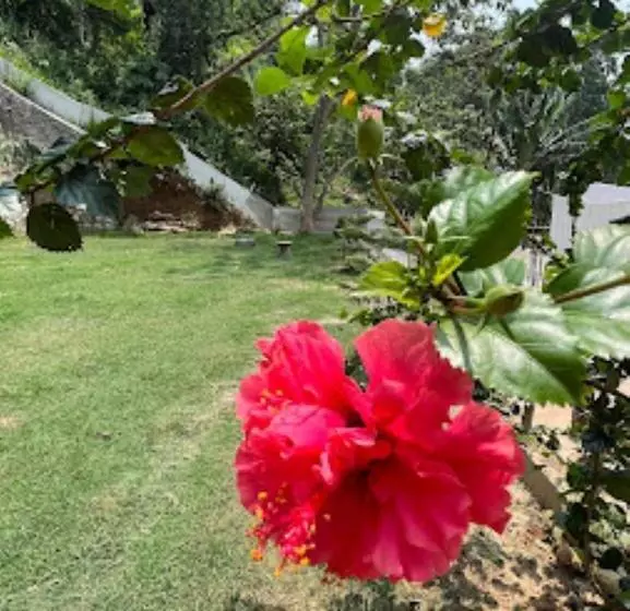 ホテル Bhargav Residency , Guwahati